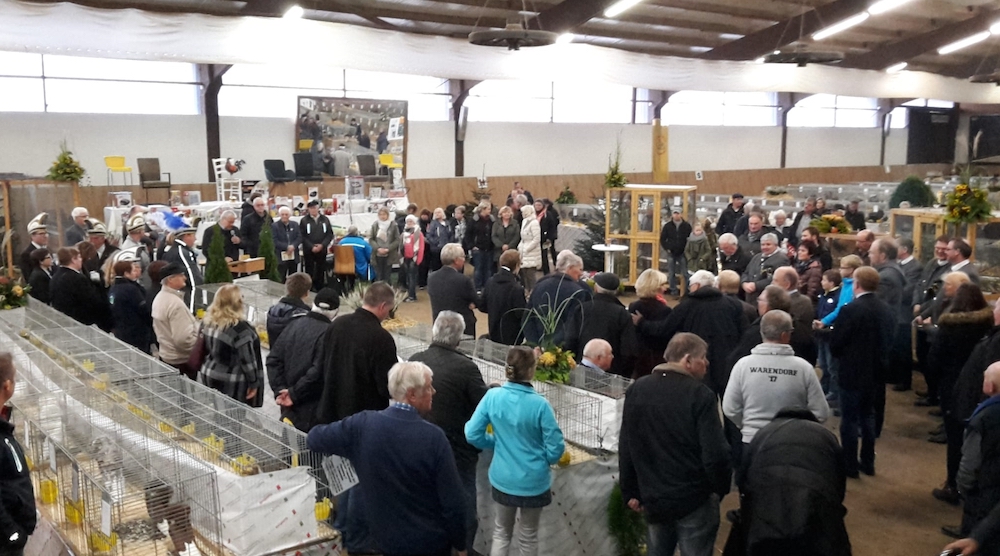 44. Große Freckenhorster Kleintierschau am 7. + 8.11.2026: Streicheln und Staunen