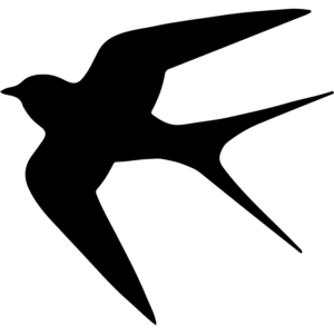 Radsportverein Schwalbe Oelde e.V.