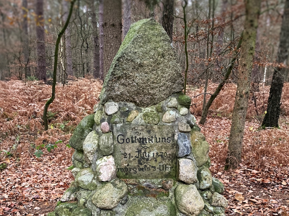 Wanderung durch Wald und Moor