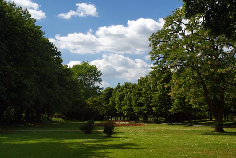 Grünanlage im Emsseepark Warendorf