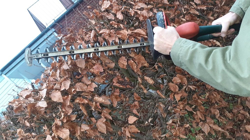 Für Gartenbesitzer: Schonzeit für Gehölze beginnt ab 01. März